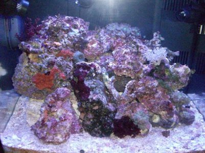 100_0223.jpg