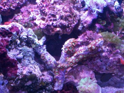 100_0215.jpg