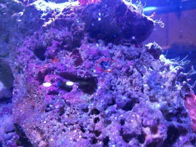 100_0190.jpg