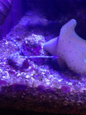 IMG_2042.JPG