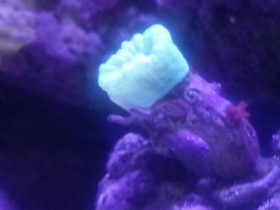 20140612_140945.jpg