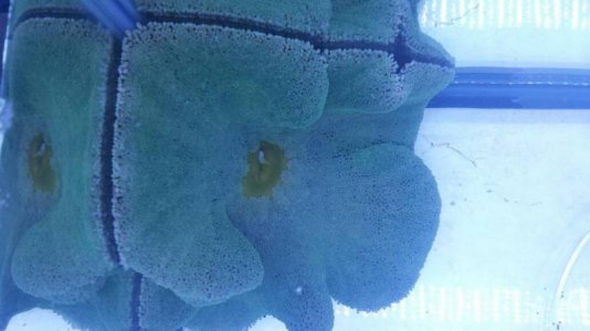 uploadfromtaptalk1402869551712.jpg uploadfromtaptalk1402869551712.jpg