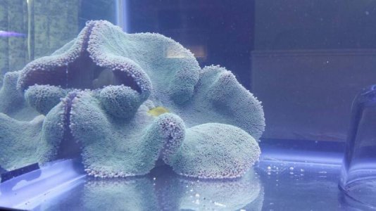 uploadfromtaptalk1402869559624.jpg uploadfromtaptalk1402869559624.jpg