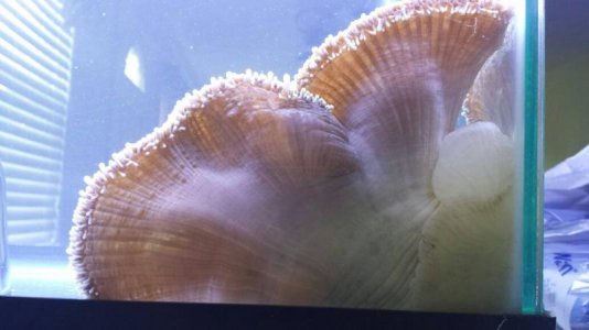 uploadfromtaptalk1402869566670.jpg uploadfromtaptalk1402869566670.jpg