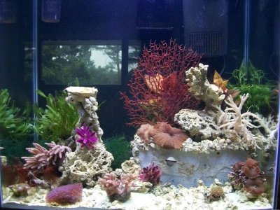 100_9030.jpg