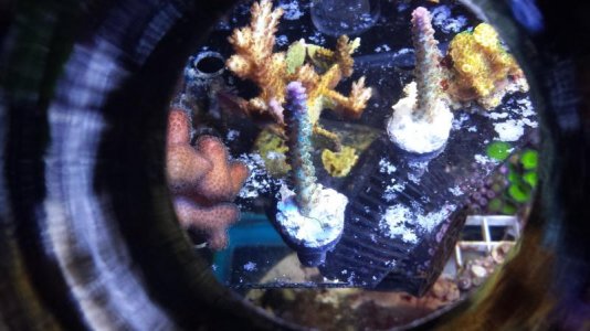 20140619_094448.jpg