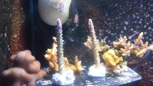 20140619_094532.jpg