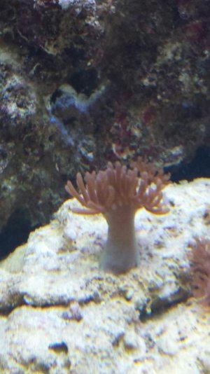 20140619_170918_resized (1).jpg