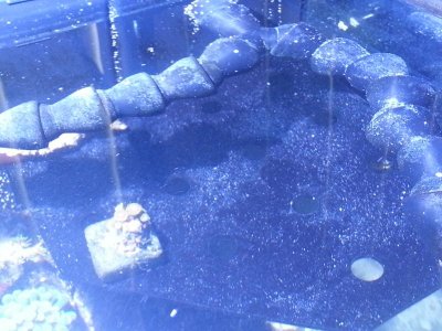 2014-06-19 18.16.31.jpg