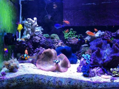 320gal2014062301.jpg