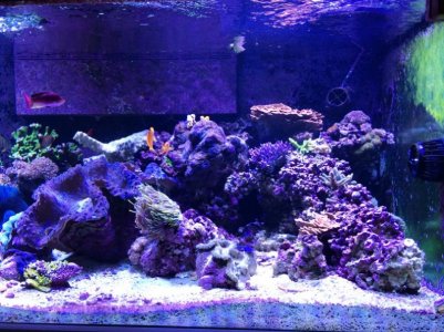 320gal2014062302.jpg