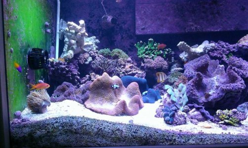 320gal2014062301.jpg