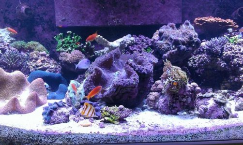 320gal2014062303.jpg