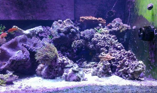 320gal2014062302.jpg