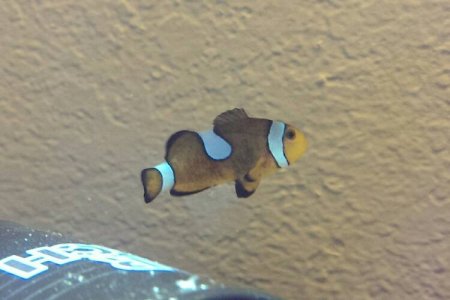 uploadfromtaptalk1403587731528.jpg uploadfromtaptalk1403587731528.jpg