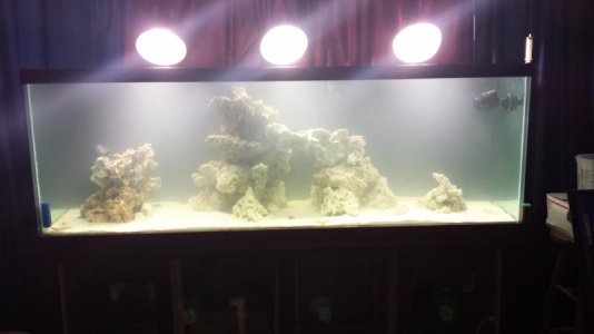 20140624_074240.jpg