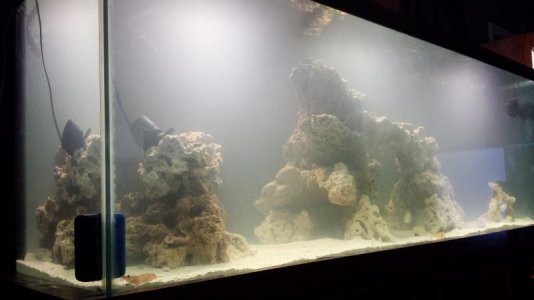 20140624_074253.jpg