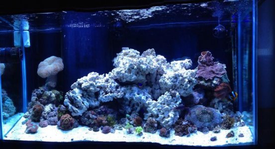 fts.jpg