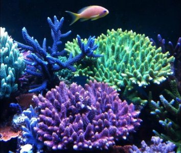 IMG_4069.jpg