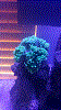 torch.gif