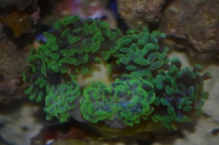 DSC_0035.jpg