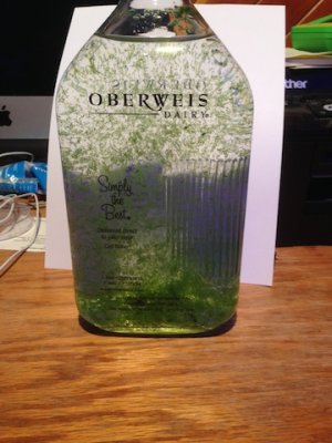 PHYTO.jpeg