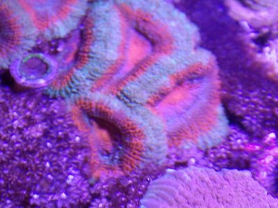 005_zps2542c2e7.jpg