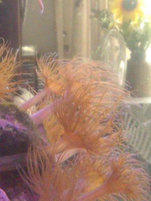 2014-07-05 13.56.45.jpg