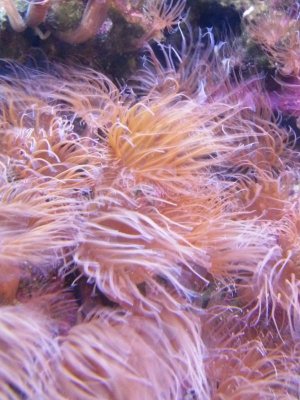 2014-07-05 13.56.25.jpg