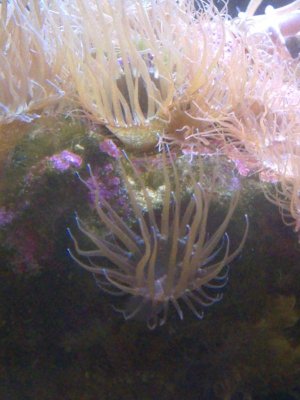 2014-07-05 13.56.56.jpg