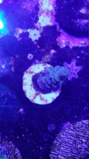 20140708_094432_zpsuyqbqgsm.jpg