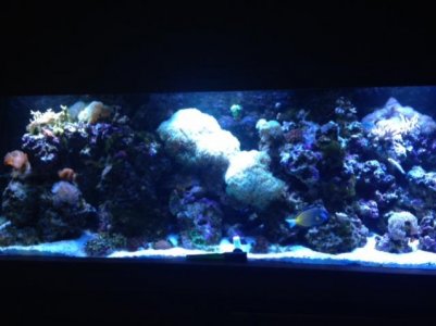 fts-7-8-14.jpg