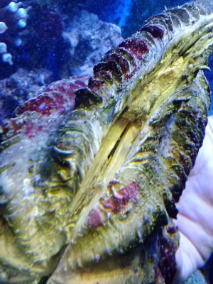 0709141439a.jpg