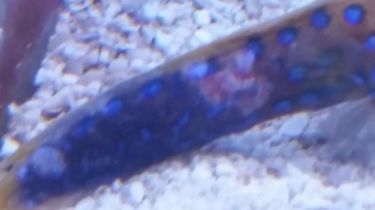 2014-07-10 11.15.16.jpg