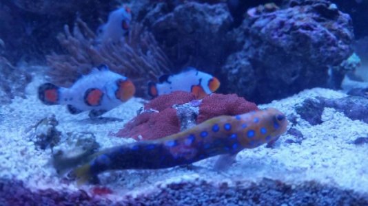 2014-07-10 11.21.04.jpg