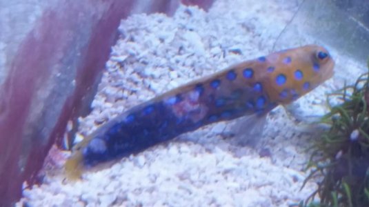 2014-07-10 11.22.23.jpg