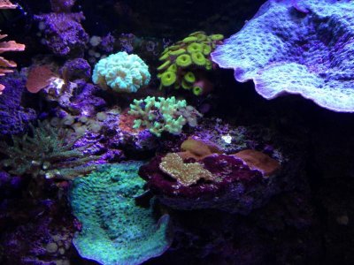 IMG_1482.jpg