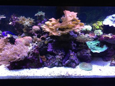 IMG_1483.jpg