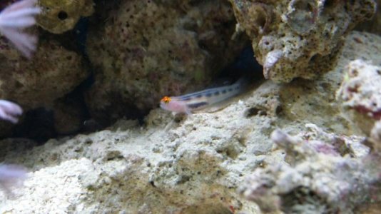 20140208_102557.jpg 20140208_102557.jpg