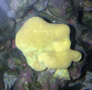 Screen Shot 2014-07-15 at 10.04.23 PM.jpg