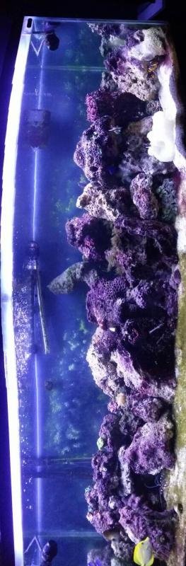 uploadfromtaptalk1405496361139.jpg uploadfromtaptalk1405496361139.jpg