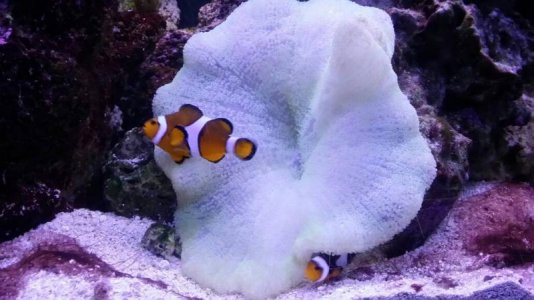 uploadfromtaptalk1405496380874.jpg uploadfromtaptalk1405496380874.jpg