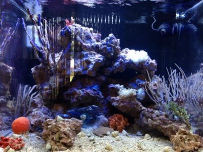photo 1(2).jpg