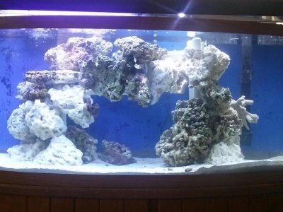 cave tank 2.jpg