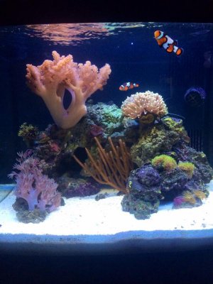 updated photo 7:19:14.jpg