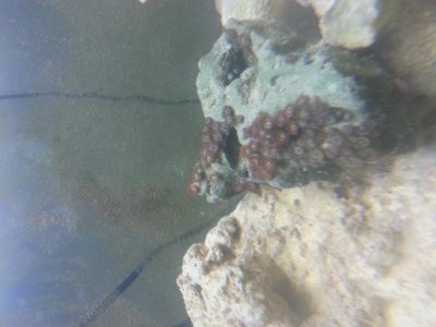 1405809736350.jpg