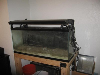 IMG_2160.jpg