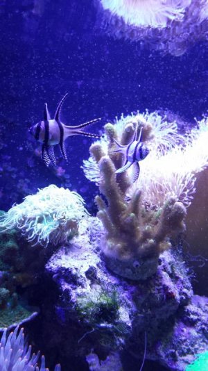 20140727_152616.jpg