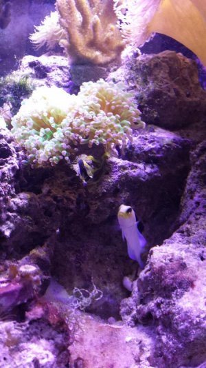 20140727_160712.jpg