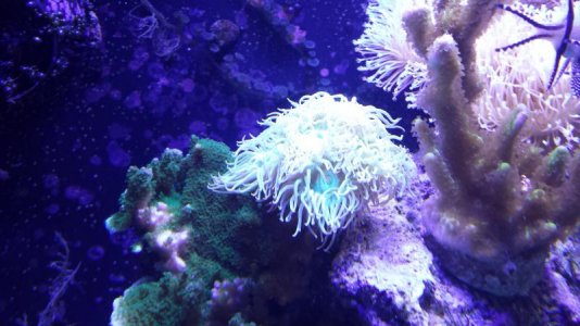 20140727_160858.jpg